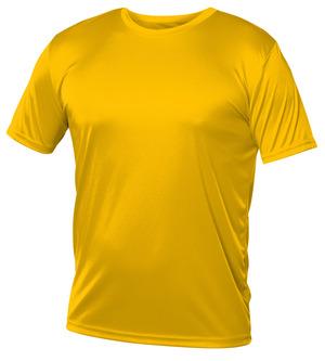 Blank Activewear M720 - Mens T-Shirt Short Sleeve, 100% Polyester Interlock, Dry Fit